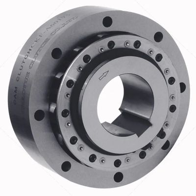 25mm Bore Steel Overrunning Clutch 420Nm For Heavy Equipment Drive System