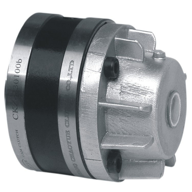 Integrated Structure Sprag Backstop Cam Clutch With Oil Storage
